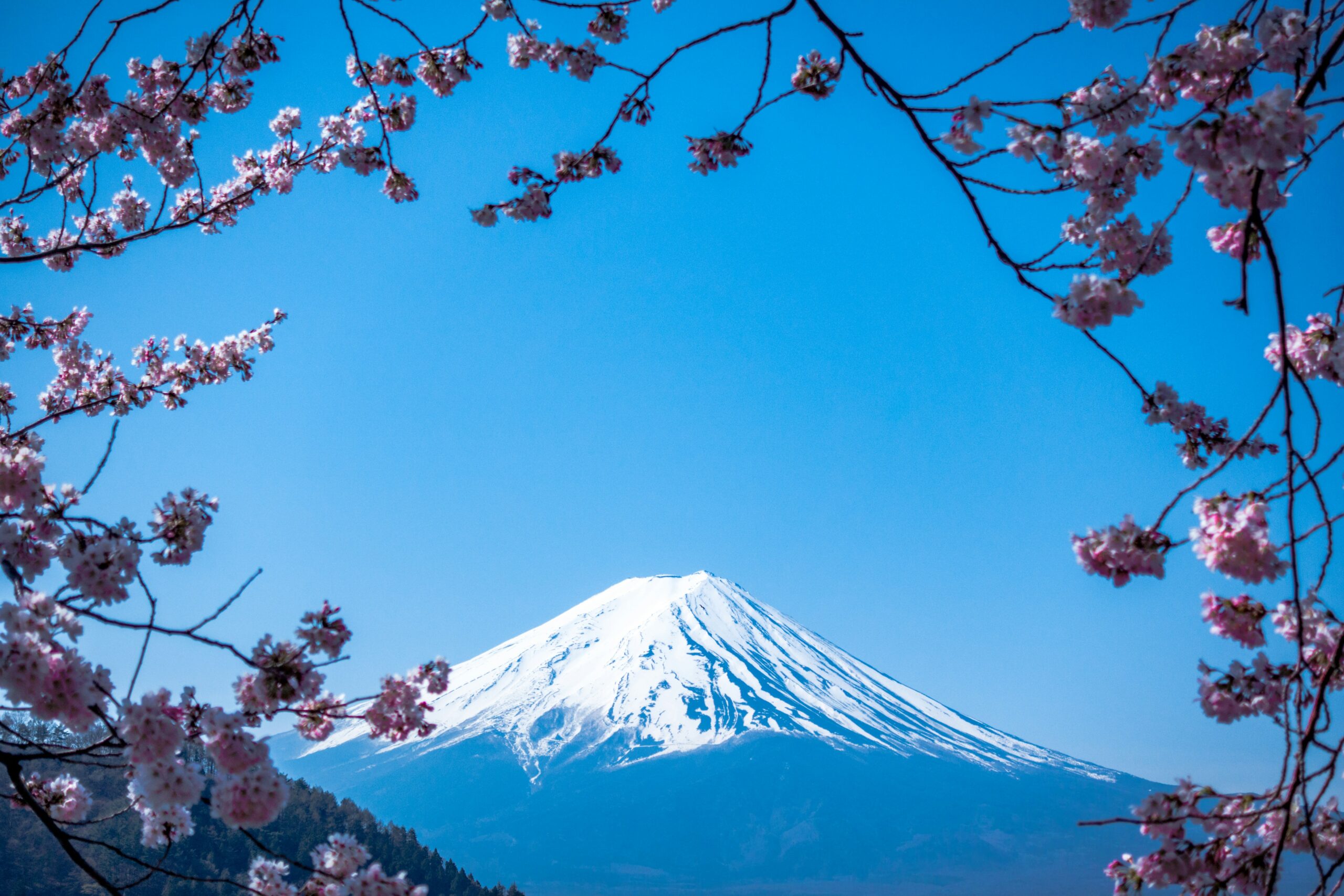 家の近所から富士山が見える【縁起がいいですね】