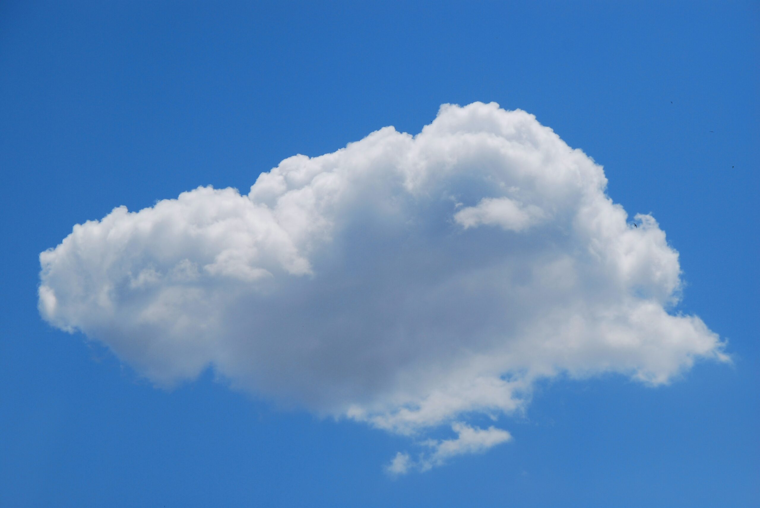 雲を眺めるくらいの心の余裕があった方が良いな、と思った